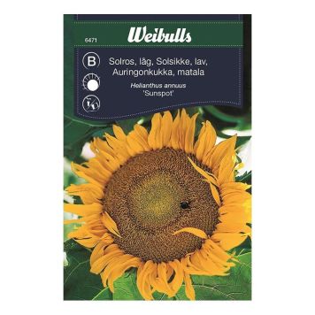 Weibulls blomsterfrø solsikke lav Sunspot