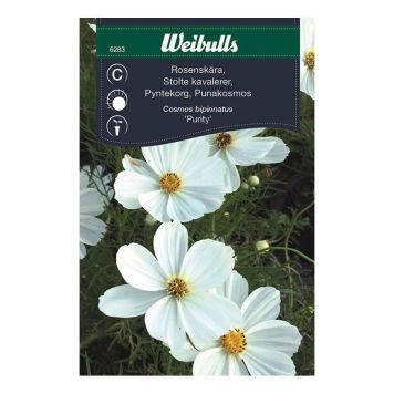 Weibulls blomsterfrø stolte kavalerer Purity
