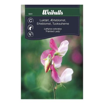 Weibulls blomsterfrø ærteblomst Painted Lady 