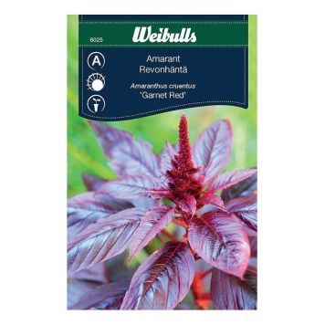 Weibulls blomsterfrø Amarant