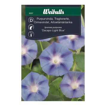 Weibulls blomsterfrø tragtsnerle Dacapo Light Blue