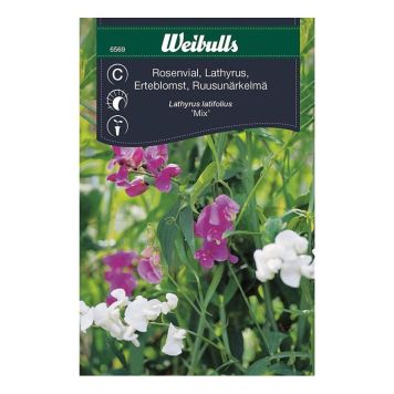 Weibulls blomsterfrø ærteblomst mix