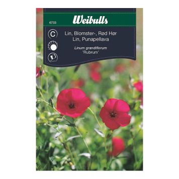 Weibulls blomsterfrø rød hør Rubrum