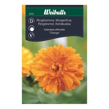 Weibulls blomsterfrø morgenfrue Orange