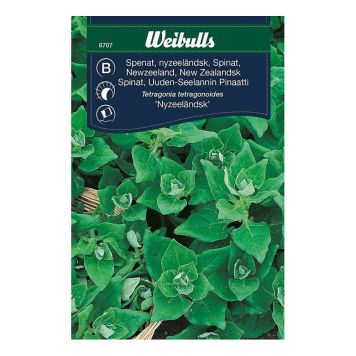 Weibulls grøntsagsfrø spinat New Zeelandsk