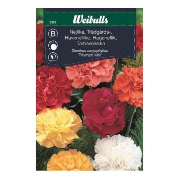 Weibulls blomsterfrø havenellike Triumph Mix