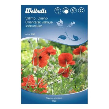 Weibulls blomsterfrø orientalsk valmue rød