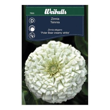 Weibulls blomsterfrø Zinnia Elegans Polar Bear