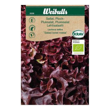 Weibulls grøntsagsfrø pluksalat rød 