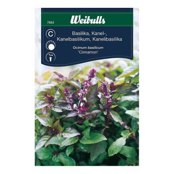 Weibulls krydderurtefrø kanalbasilikum Cinnamon
