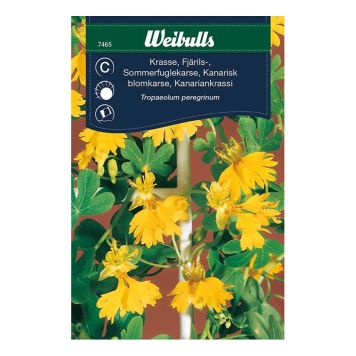 Weibulls blomsterfrø sommerfuglekarse