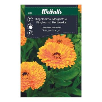 Weibulls blomsterfrø morgenfrue Princess Orange