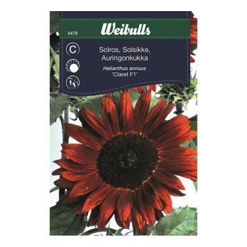 Weibulls blomsterfrø solsikke Claret F1