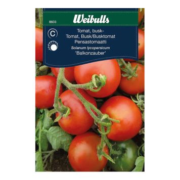 Weibulls grøntsagsfrø busktomat Balkonzauber