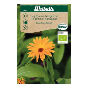 Weibulls blomsterfrø morgenfrue
