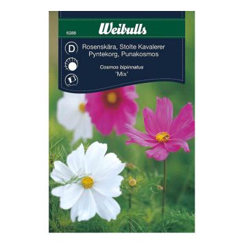 Weibulls blomsterfrø stolte kavalerer mix