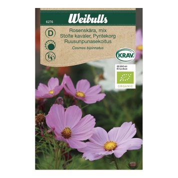 Weibulls blomsterfrø stolte kavalerer mix