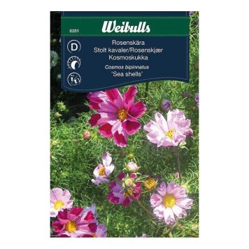 Weibulls blomsterfrø stolte kavalerer 