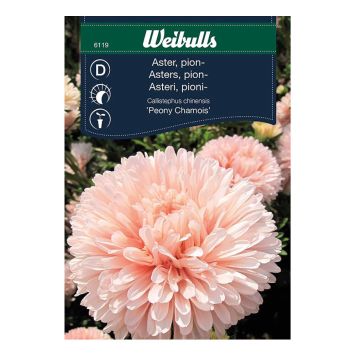 Weibulls blomsterfrø Asters pion abrikos