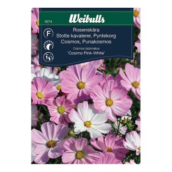 Weibulls blomsterfrø stolte kavalerer cosimo 