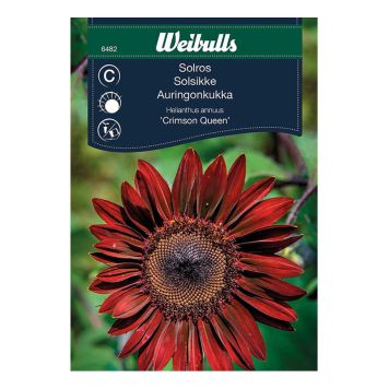 Weibulls blomsterfrø solsikke Crimson Queen 