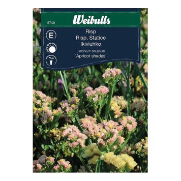 Weibulls blomsterfrø risp Apricot Shades
