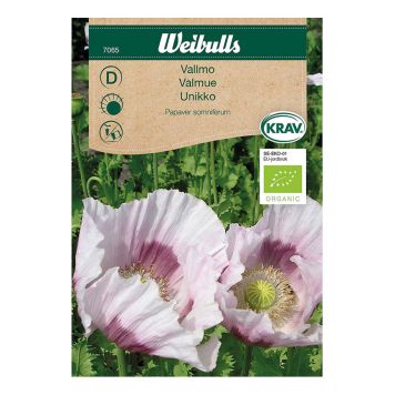 Weibulls blomsterfrø valmue 