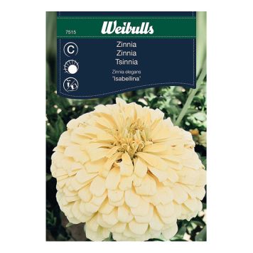 Weibulls blomsterfrø Zinnia Isabellina