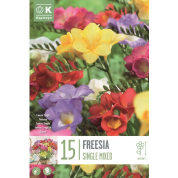 Kapiteyn blomsterløg Freesia Single Mixed 15 stk.