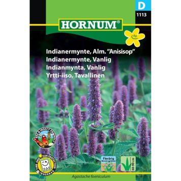 Hornum krydderurtefrø Indianermynte, Alm. Anisisop