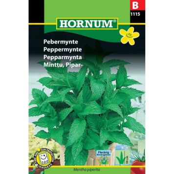 Hornum krydderurtefrø Pebermynte