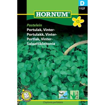 Hornum grøntsagsfrø Portulak, Vinter-