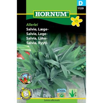 Hornum krydderurtefrø Salvie, Læge-