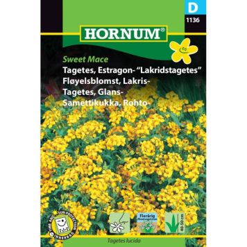 Hornum blomsterfrø Tagetes, Estragon- "Lakridstagetes"