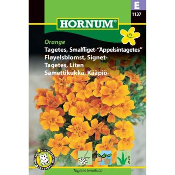 Hornum blomsterfrø Tagetes, Smalfliget- “Appelsintagetes”