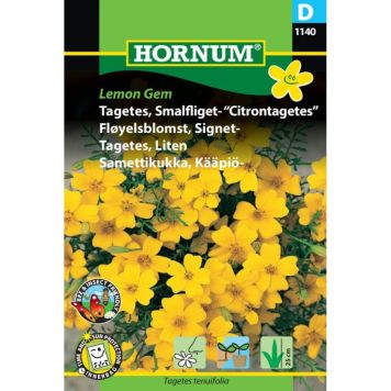 Hornum krydderurtefrø Tagetes, Smalfliget- “Citrontagetes”