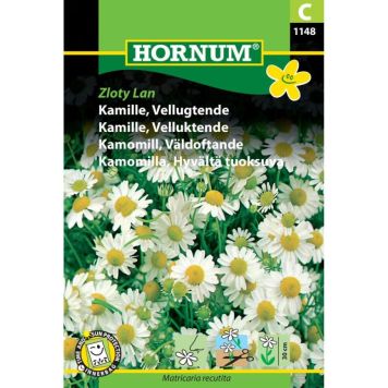 Hornum blomsterfrø Kamille, Vellugtende