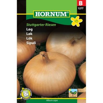 Hornum grøntsagsfrø Løg Stuttgarter Riesen