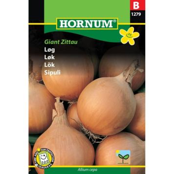 Hornum grøntsagsfrø Løg Giant Zittau