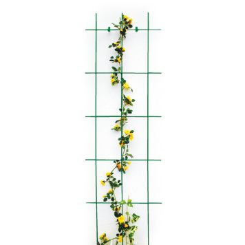 Bellissa espalier 3 stolper grøn 150x45 cm