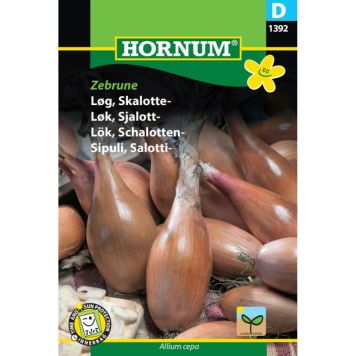 Hornum grøntsagsfrø Løg, Skalotte-