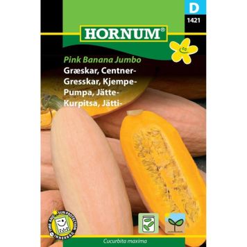 Hornum frugtfrø centnergræskar Pink Banana Jumbo