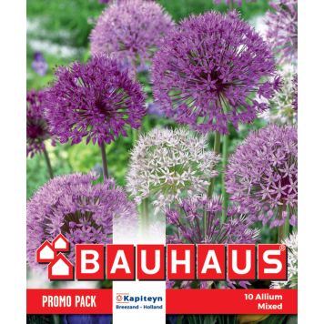 Kapiteyn blomsterløg allium Promo Mix 10 stk. 