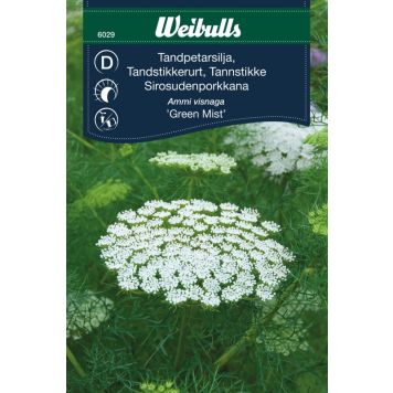 Weibulls blomsterfrø tandstikkeurt 'Green Mist'