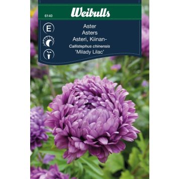 Weibulls blomsterfrø asters 'Miladi Lilac'