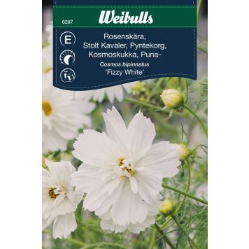 Weibulls blomsterfrø stolt kavaler 'Fizzy White'