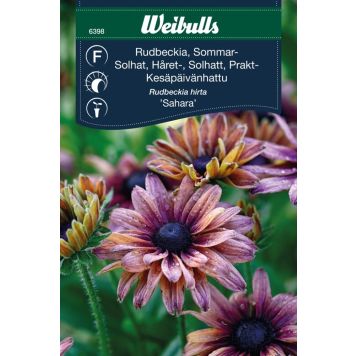 Weibulls blomsterfrø solhat 'Sahara'