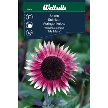 Weibulls blomsterfrø solsikke 'Ms Mars'