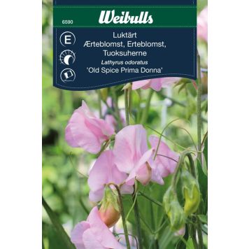 Weibulls blomsterfrø ærteblomst 'Old Spice Prima Donna'