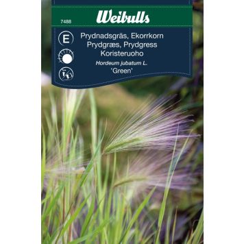 Weibulls blomsterfrø prydgræs 'Green'